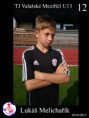 /album/valasske-mezirici-u13/melicharik-jpg/