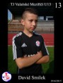 /album/valasske-mezirici-u13/smilek-jpg/