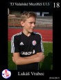 /album/valasske-mezirici-u13/vrabec-jpg/